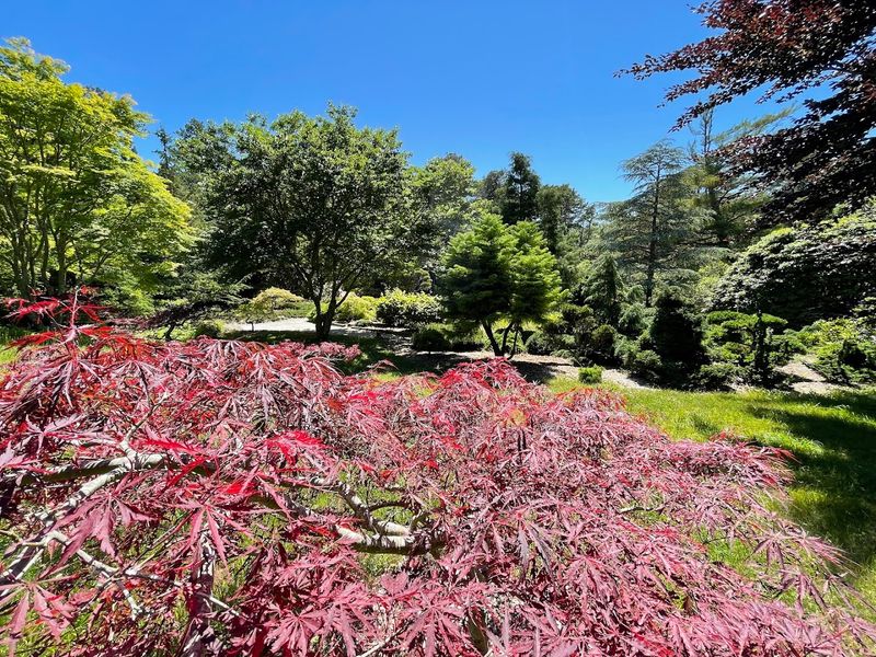 Exotic Plants and Seasonal Flowers That Dazzle