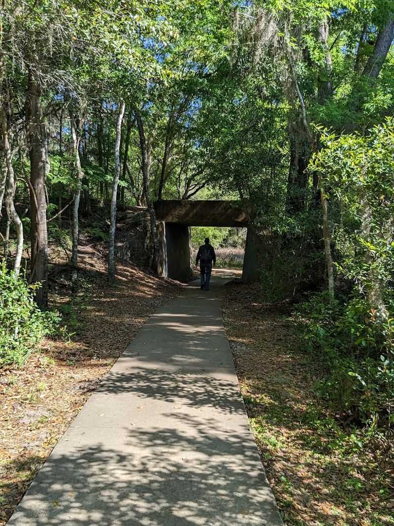 Exploring the Historic Town of Micanopy Nearby Exploring the Historic Town of Micanopy Nearby