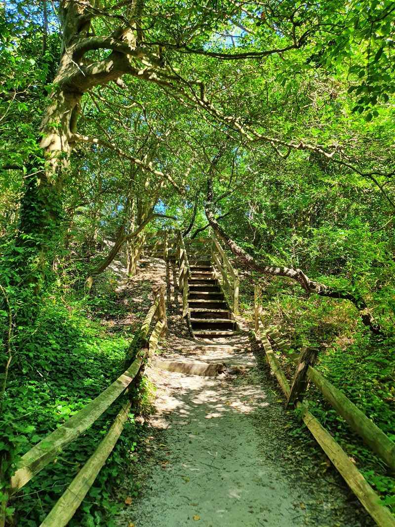Exploring the Maritime Forest Trails