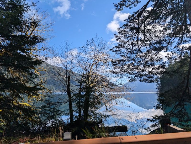 Fairholme Campground: Sleeping Under the Stars Lakeside