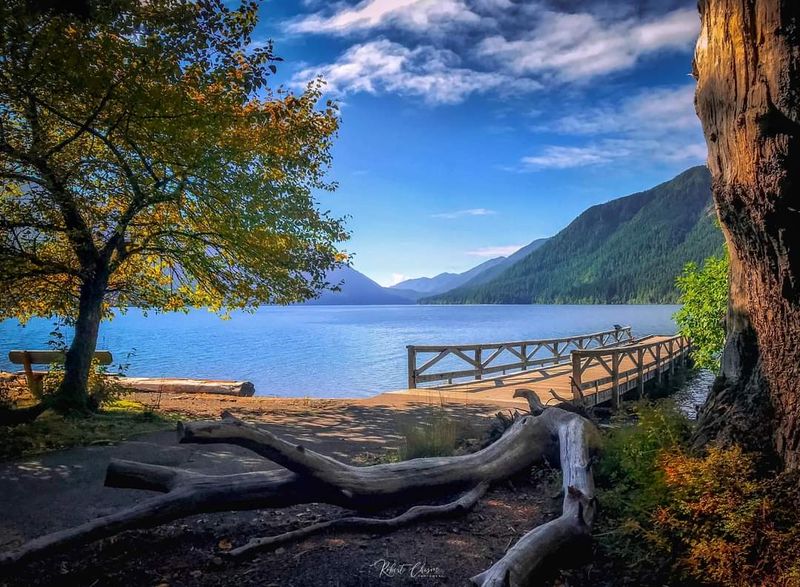 Fairholme Campground — Sleep Steps From the Shore Fairholme Campground — Sleep Steps From the Shore
