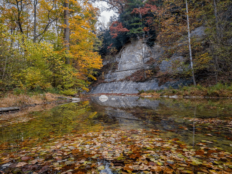 Fall Colors That Transform the Entire Canyon Fall Colors That Transform the Entire Canyon
