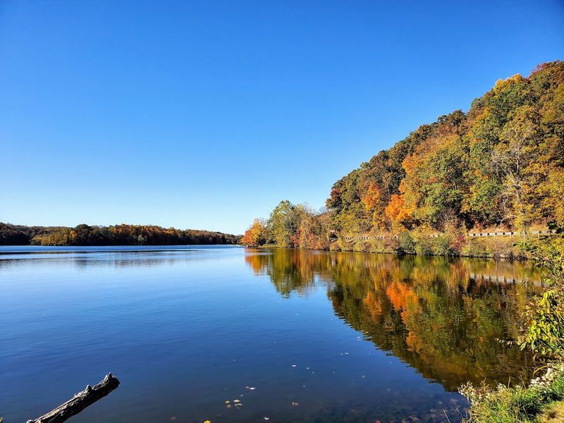 Fall Colors That Transform the Entire Park