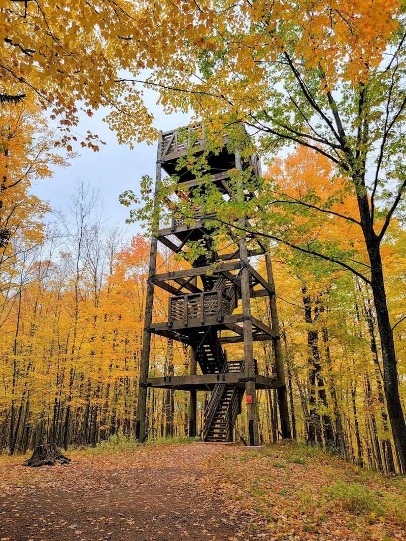 Fall Colors and the Observation Tower