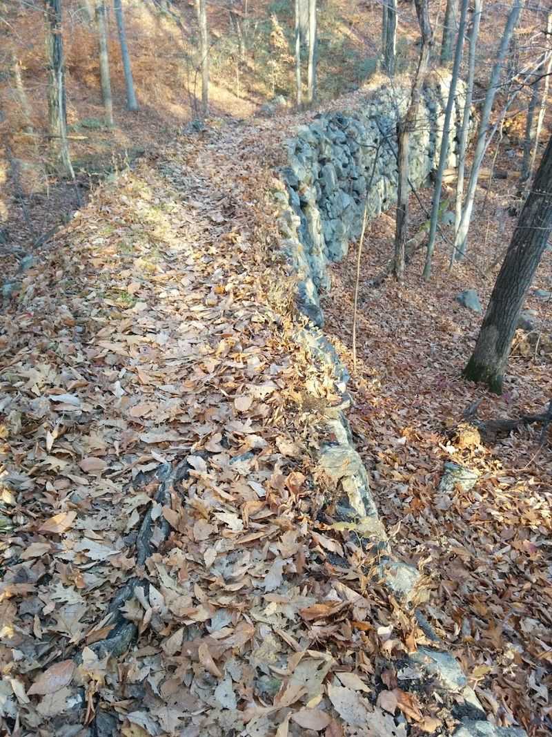 Fall Foliage Cliff Views: Maryland's AT in October