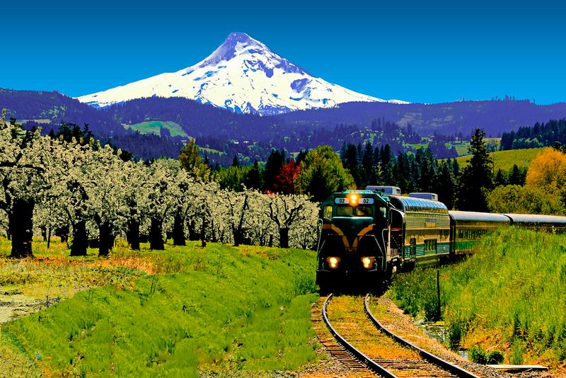Fall Foliage Colors That Turn the Route Into a Living Painting