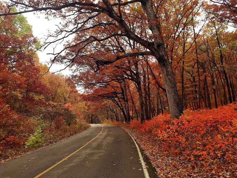 Fall Foliage Drives and Scenic Views