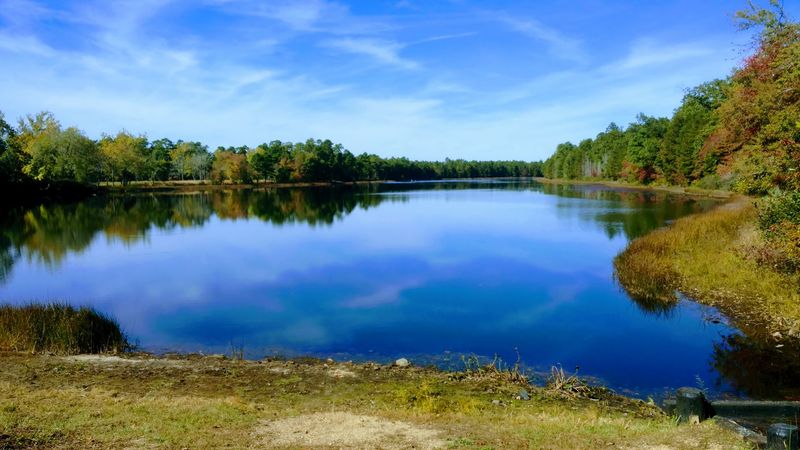 Fall Foliage Scenery and Photography