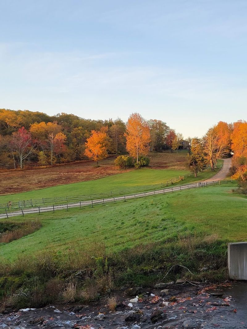Fall Foliage Season: The Park at Its Most Spectacular Fall Foliage Season: The Park at Its Most Spectacular