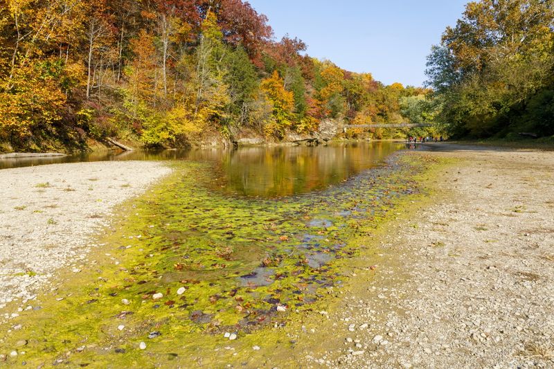 Fall Foliage That Transforms the Entire Park