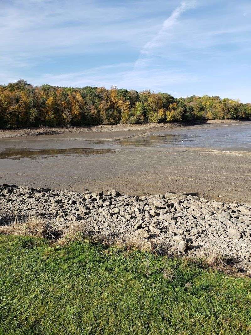 Fall Foliage That Transforms the Entire Park