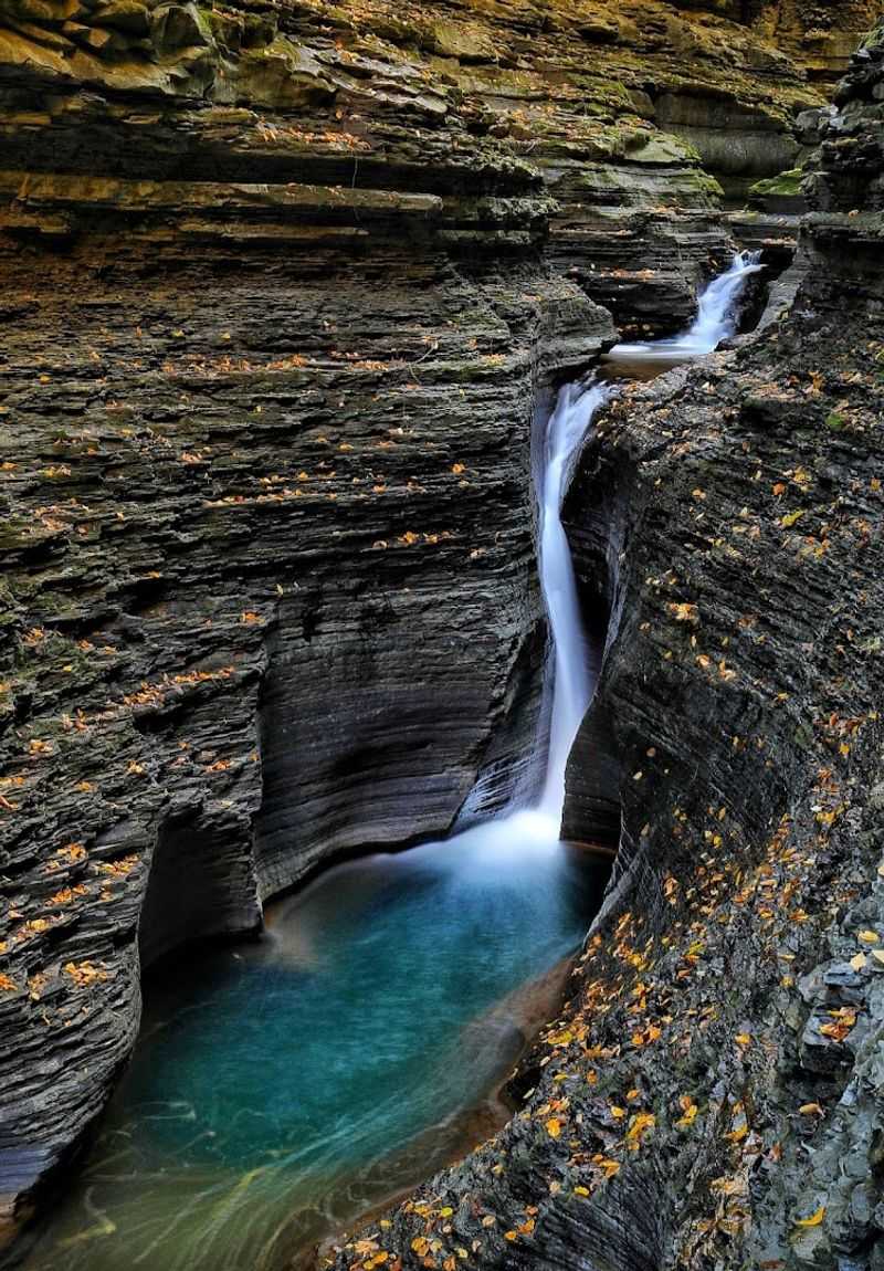 Fall Foliage That Transforms the Gorge