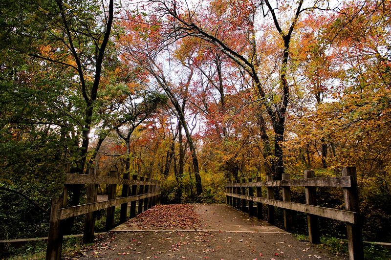 Fall Foliage That Turns the Park Into a Masterpiece