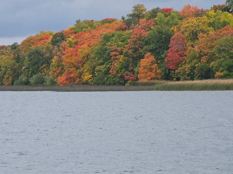 Fall Foliage That Turns the Park Into a Painting
