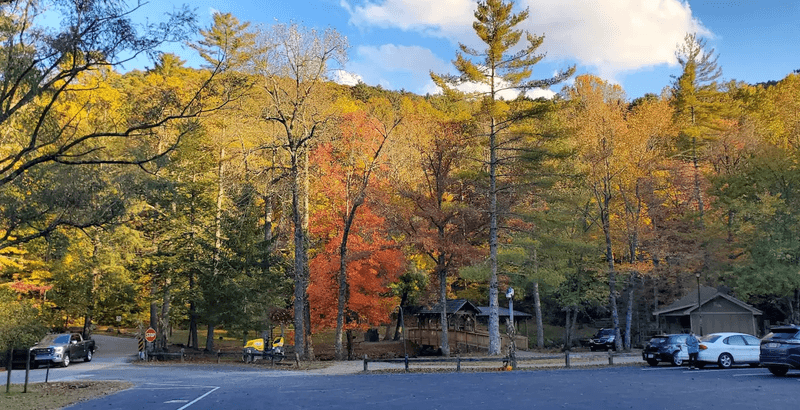 Fall Foliage That Will Take Your Breath Away Fall Foliage That Will Take Your Breath Away