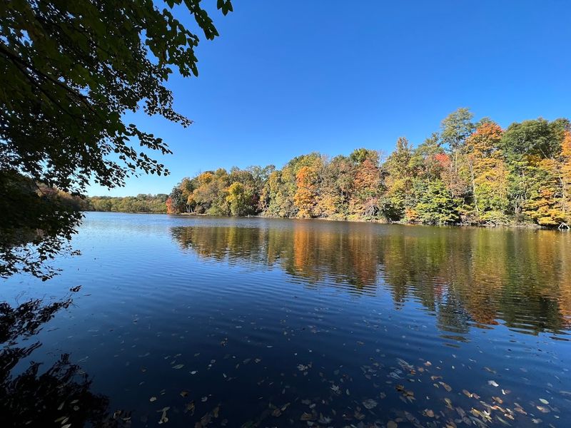Fall Foliage Views That Will Stop You in Your Tracks Fall Foliage Views That Will Stop You in Your Tracks