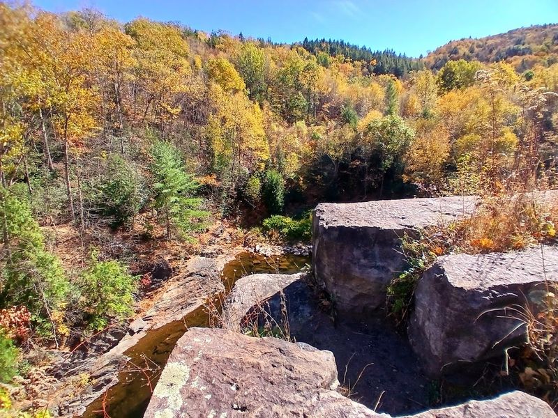 Fall Foliage and Seasonal Trail Beauty