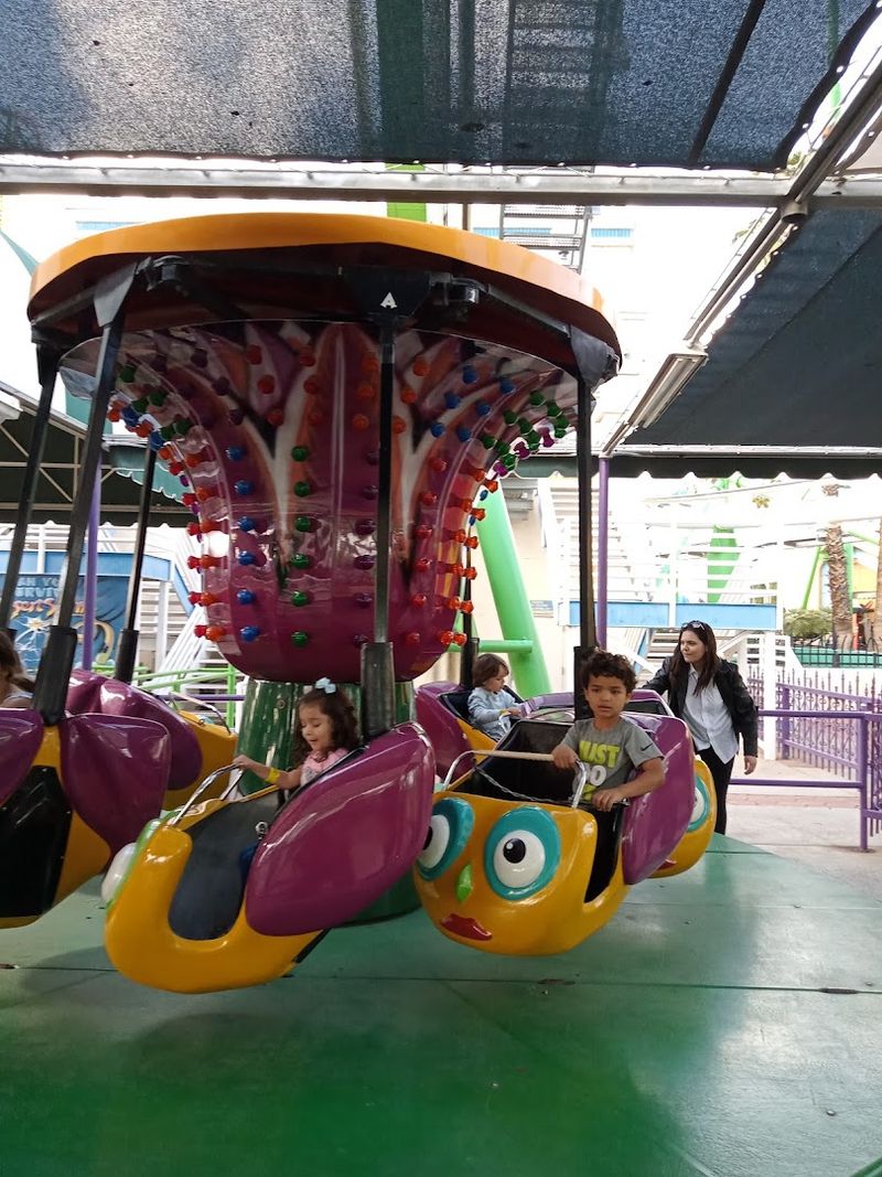 Family-Friendly Atmosphere