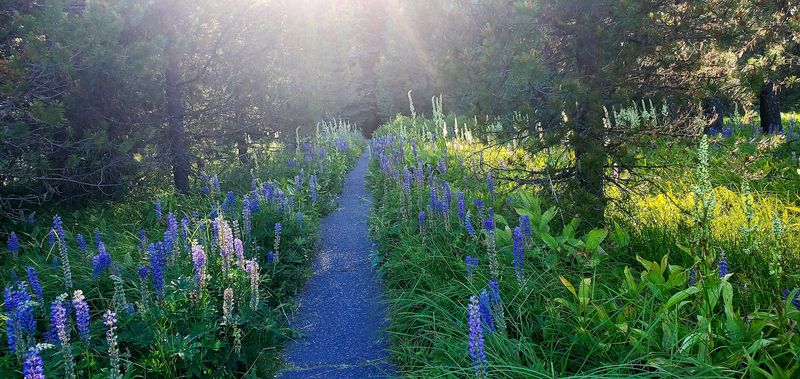Family-Friendly Features That Make It a Great Outing