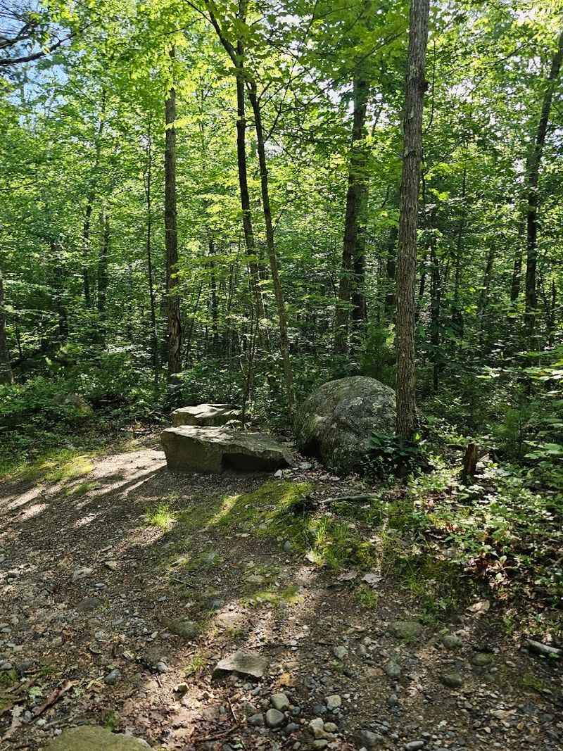 Family-Friendly Features That Make This Trail Special