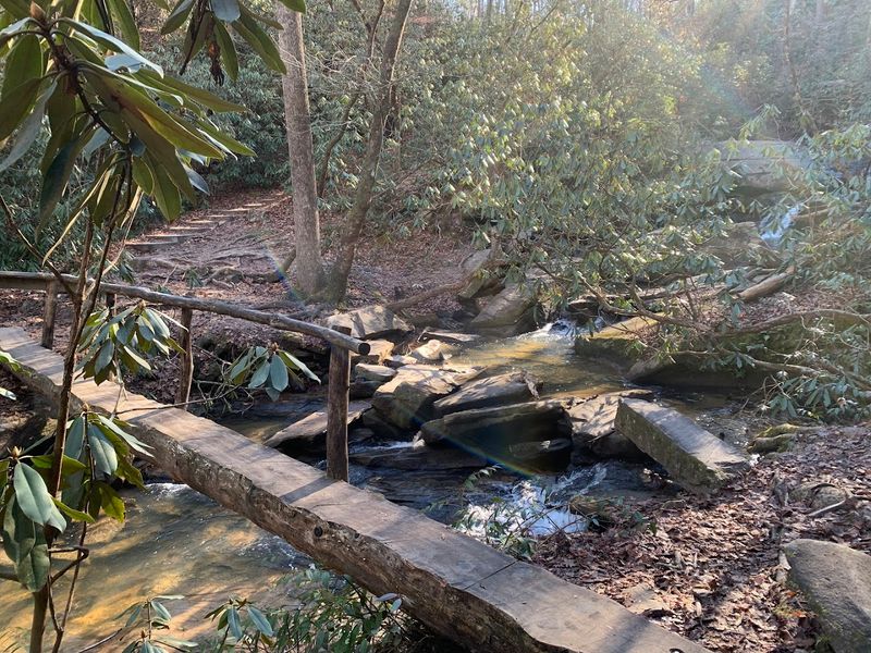 Family-Friendly Features That Make This Trail Stand Out Family-Friendly Features That Make This Trail Stand Out
