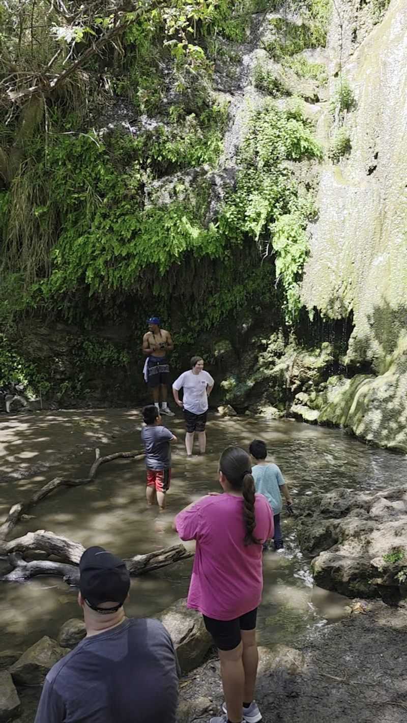 Family-Friendly Fun: Bringing Kids and Dogs Along