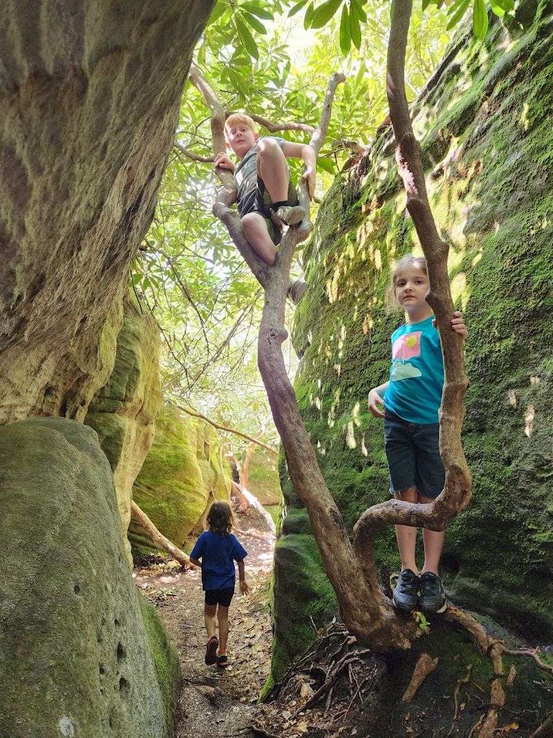 Family-Friendly Fun for All Ages and Abilities