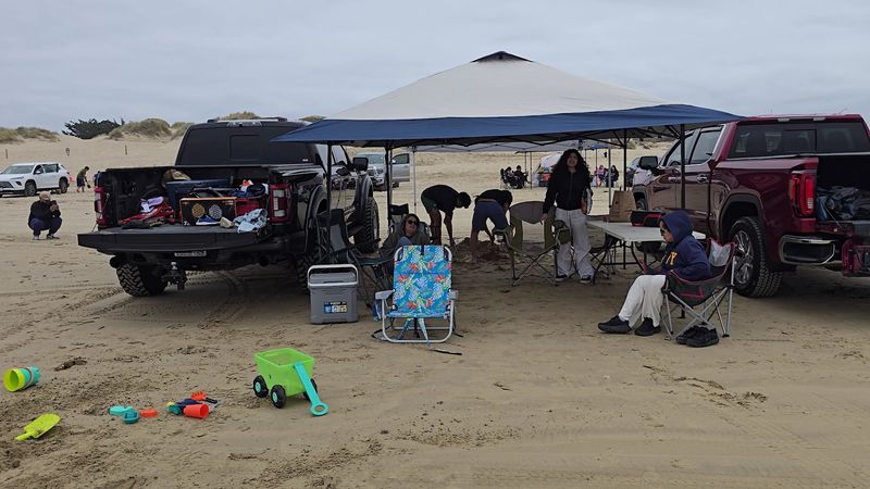 Family Picnics With An Ocean View
