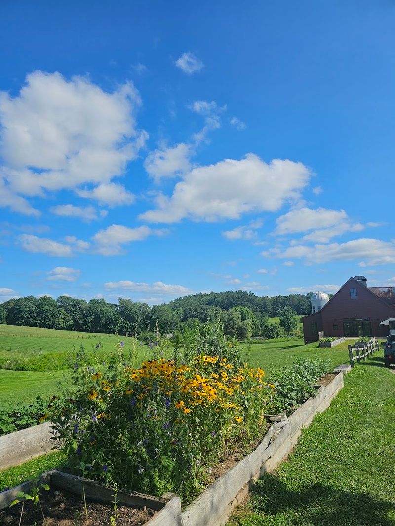 Farm-Grown Produce on Every Plate