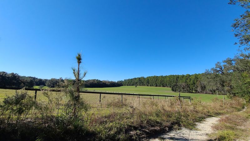 Farmland Views Along the Forest Road Segment