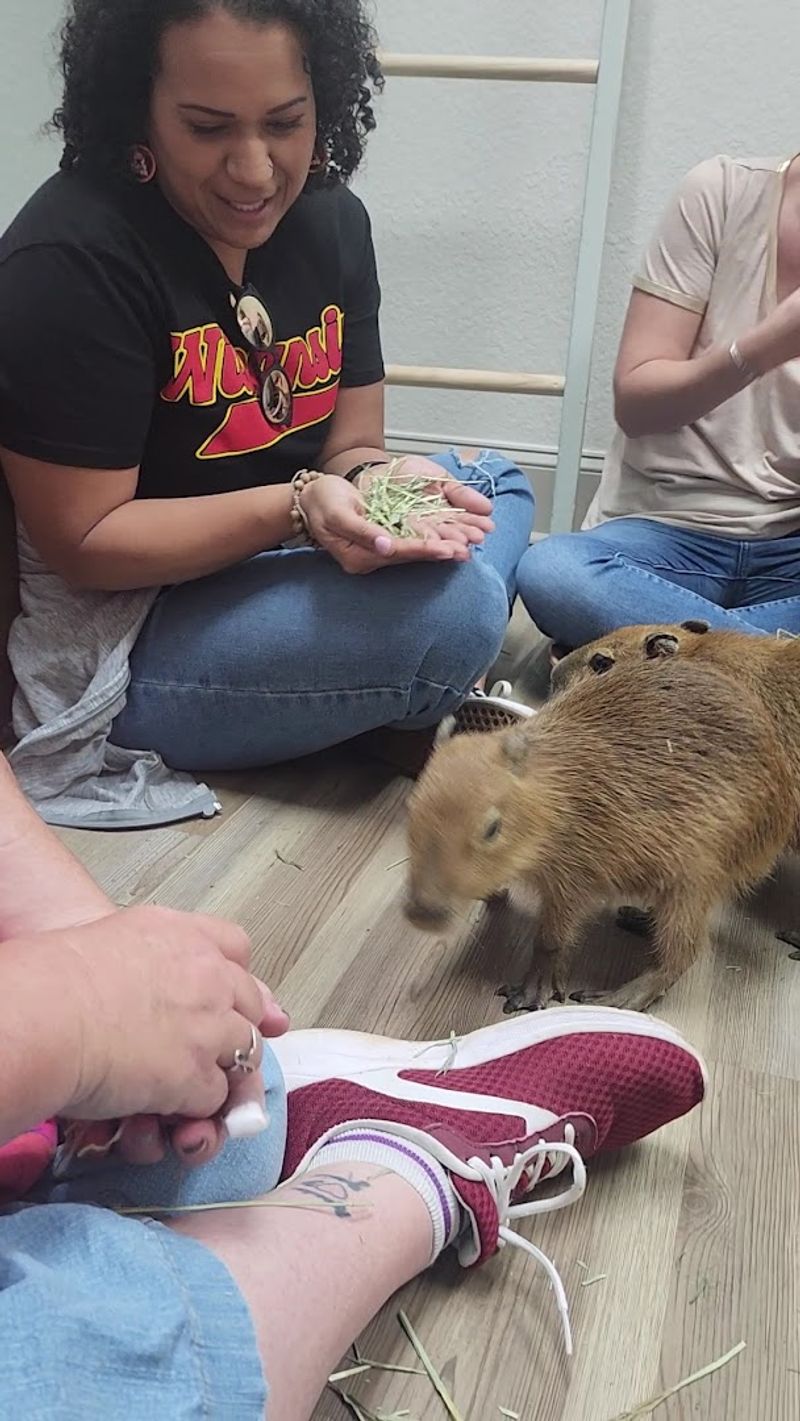 Feeding Time: Kale, Tongs, and Pure Joy