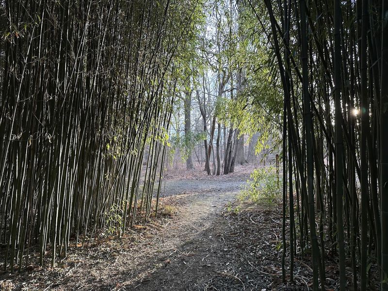 Find Peace and Spiritual Renewal Outdoors