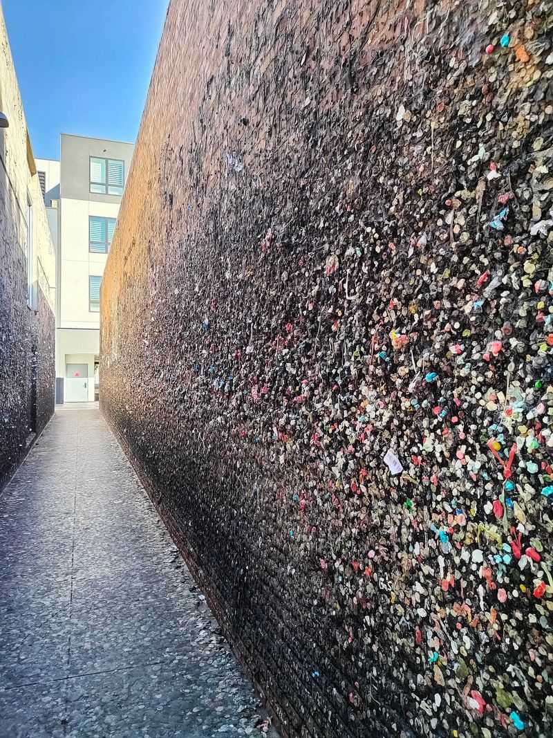Finding Gum Alley in Downtown SLO