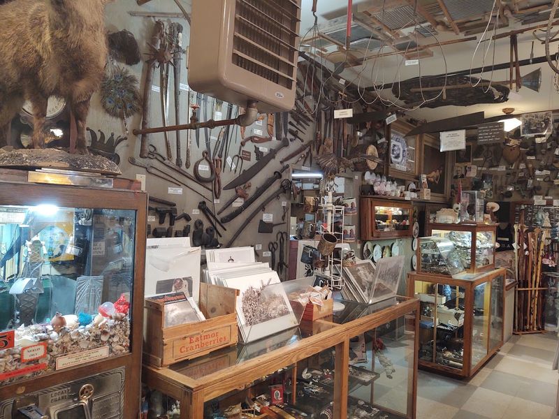 Finding Marsh's Free Museum: Location and Hours
