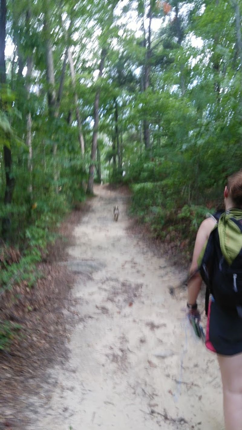 Finding the Cutoff to the Falls: Don't Miss the Turn