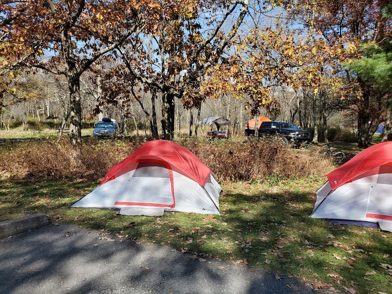 First-Time Campers Thrive Here Thanks to Helpful Rangers and Great Facilities First-Time Campers Thrive Here Thanks to Helpful Rangers and Great Facilities