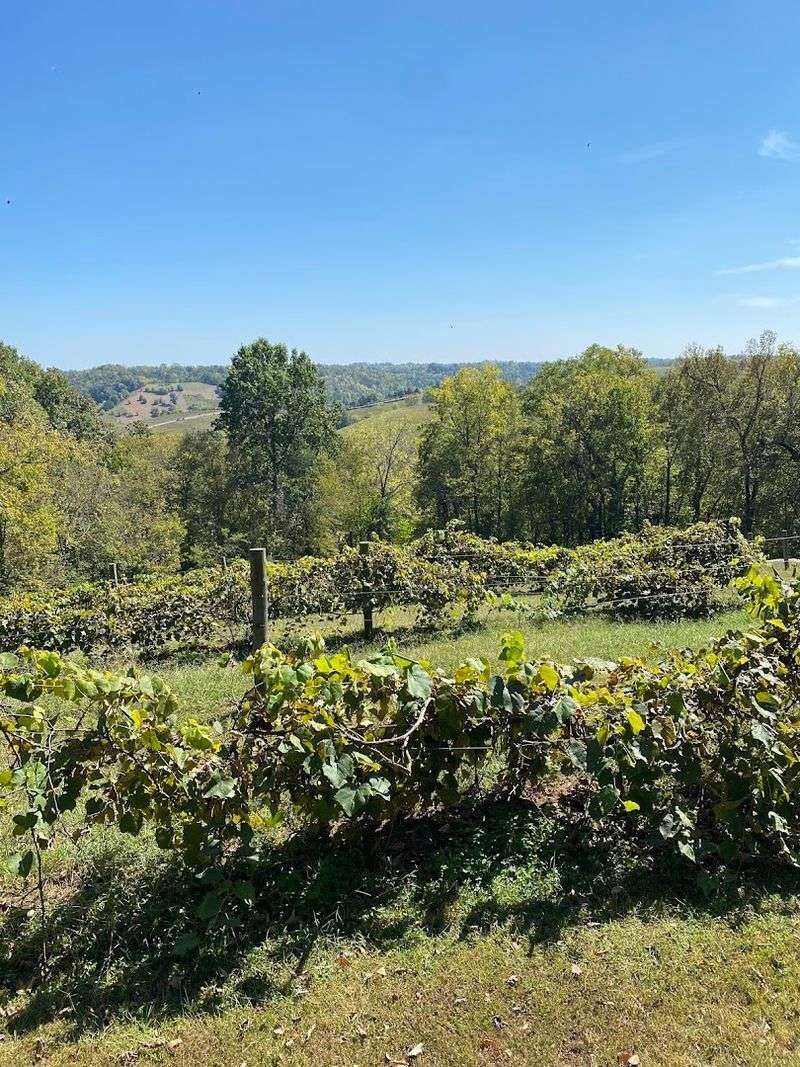 First Vineyard Winery – Nicholasville, Kentucky First Vineyard Winery – Nicholasville, Kentucky