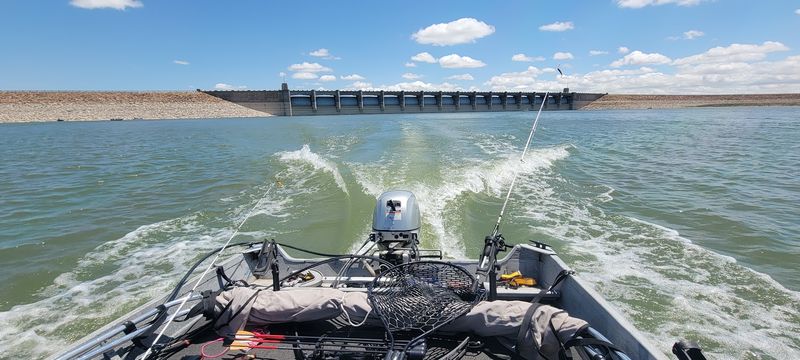 Fishing Adventures Across Multiple Species Fishing Adventures Across Multiple Species