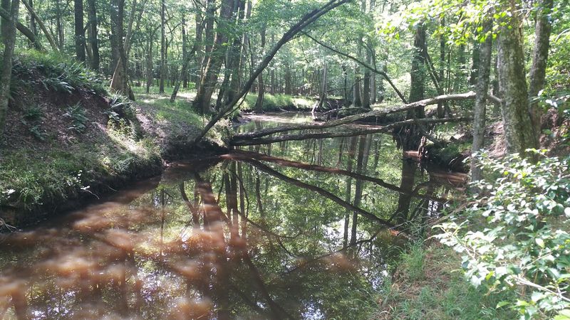 Fishing Along the Riverbanks
