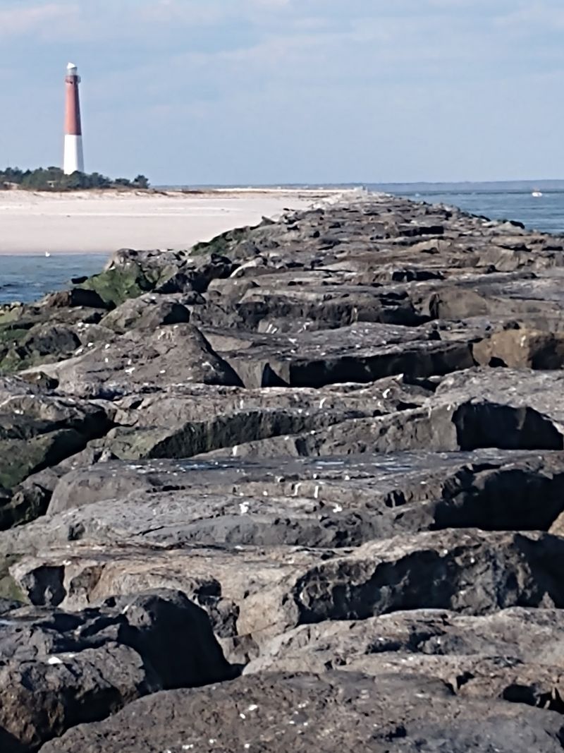 Fishing Along the Rocky Jetty