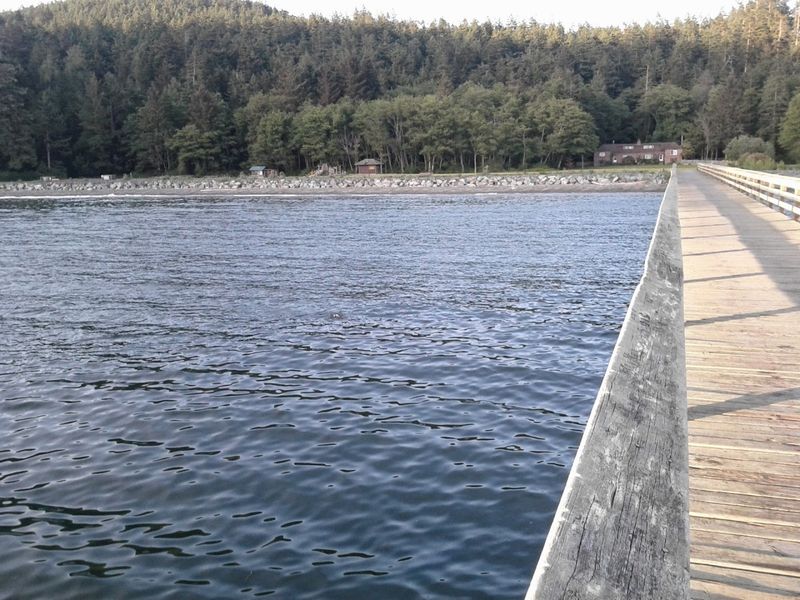 Fishing Along the Shoreline and Piers