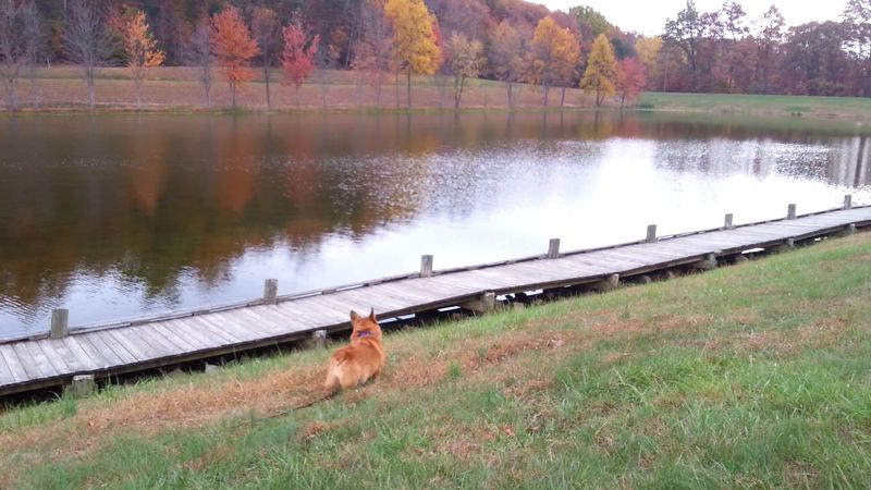 Fishing From the Dock or Boat Ramp on the Larger Lake Section