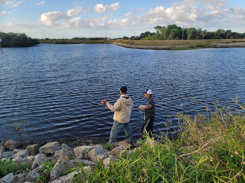Fishing Hotspot: Bass, Catfish, and More Await Fishing Hotspot: Bass, Catfish, and More Await