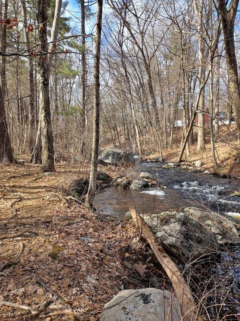 Fishing Opportunities at Danforth Brook
