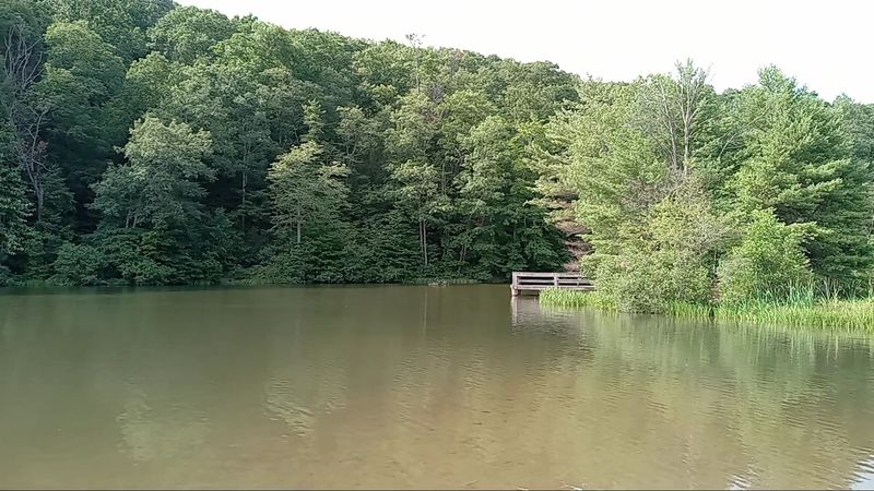 Fishing Pier and Lakeside Angling