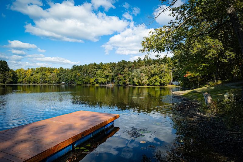 Fishing Pond Where Even First-Timers Get Lucky