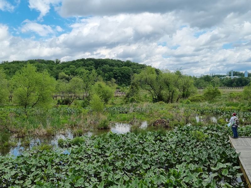 Fishing Spots That Anglers Will Appreciate