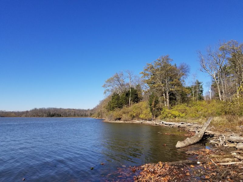 Fishing Spots That Keep Anglers Coming Back