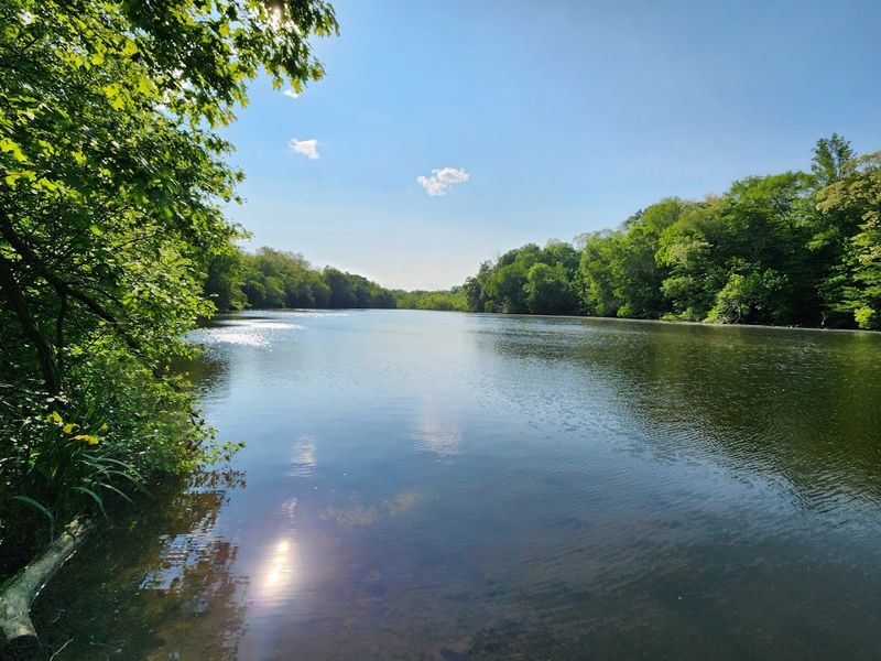 Fishing at Speedwell Lake: Cast a Line and Relax Fishing at Speedwell Lake: Cast a Line and Relax