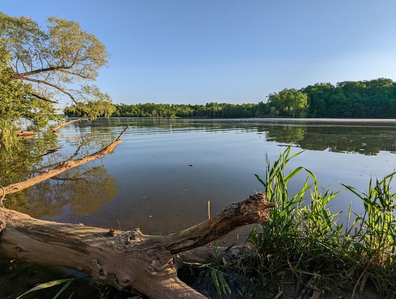Fishing for Bass, Crappie, and More Fishing for Bass, Crappie, and More